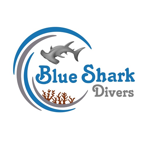 Hurghada Blue Shark Divers